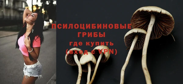 mdpv Каменка