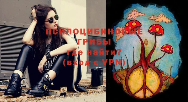 дживик Каменногорск