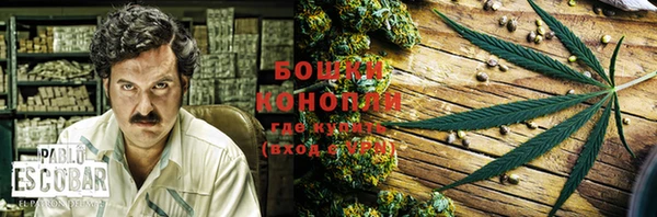 дживик Каменногорск