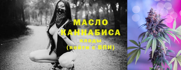 дживик Каменногорск