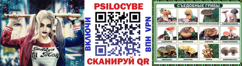Псилоцибиновые грибы Psilocybine cubensis  Купить закладки  Новошахтинск 